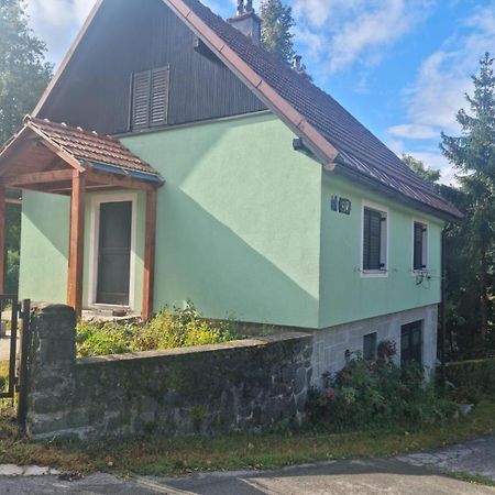 Forest Chalet Zalesina المظهر الخارجي الصورة