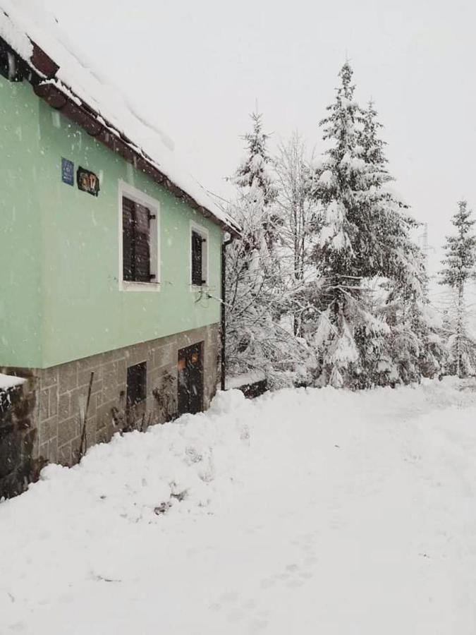 Forest Chalet Zalesina المظهر الخارجي الصورة