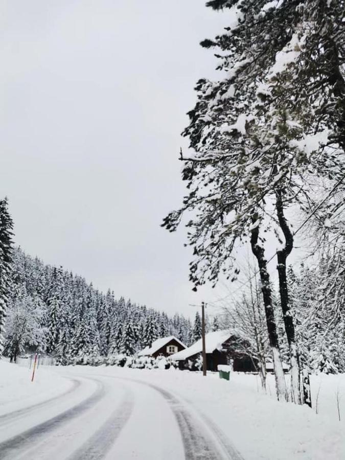 Forest Chalet Zalesina المظهر الخارجي الصورة