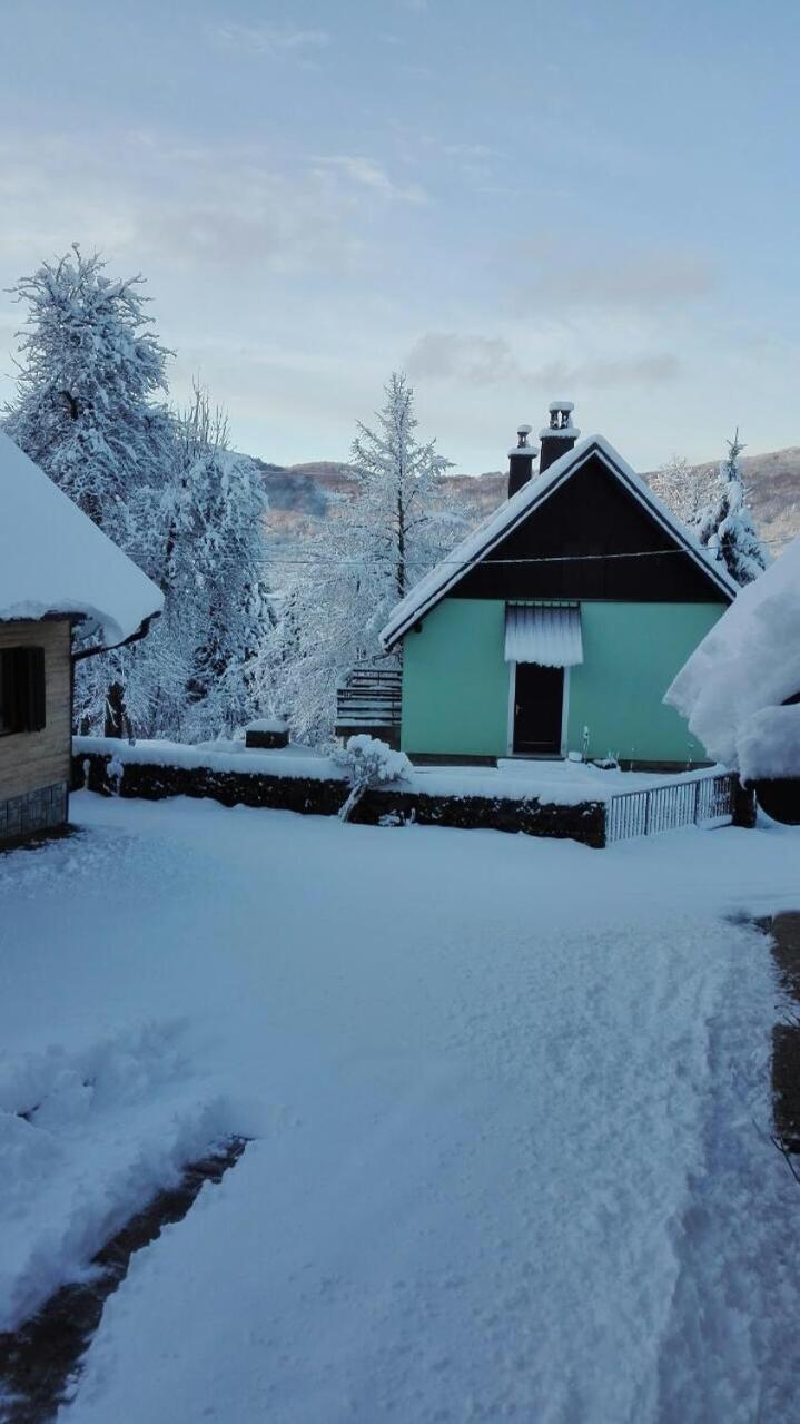 Forest Chalet Zalesina المظهر الخارجي الصورة